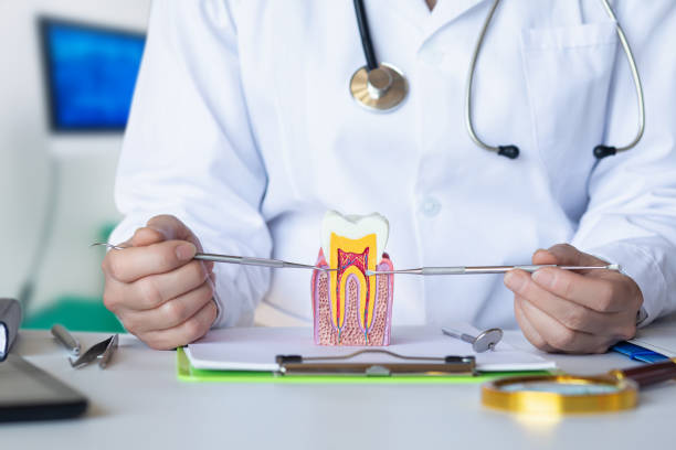 Best Tooth Pain Emergency Relief  in Abbeville, LA